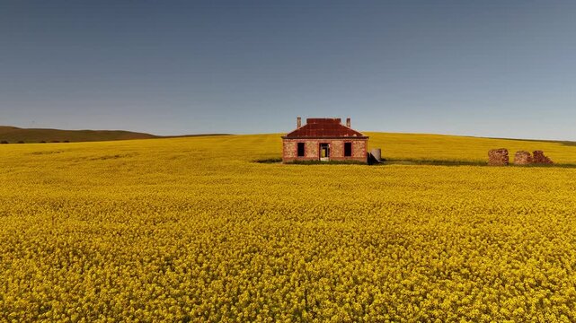 Midnight Oil House, Burra, South Australia &ndash; 4K Drone Footage Featuring Iconic Heritage Cottage in Yellow Canola Fields and Rolling Farmland near Barrier Highway