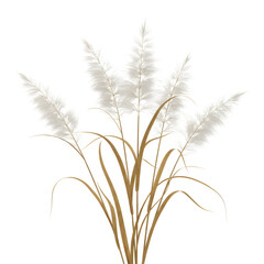 Fototapeta premium Bundle of Dried Wild Grass Isolated on transparent Background