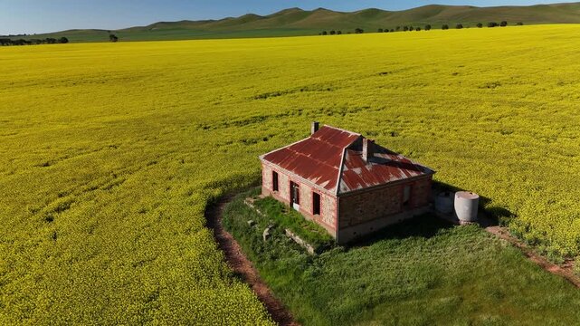 Burra, South Australia &ndash; 4K Aerial Drone Footage of the Famous Midnight Oil House Surrounded by Golden Canola Fields along Barrier Highway under Clear Blue Skies