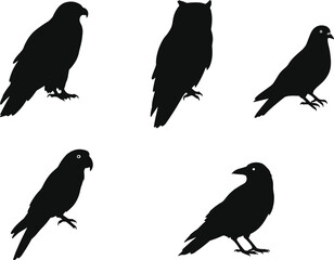 Collection of bird silhouettes, black vector bird shapes with eagle, owl, pigeon, parrot, and crow isolated on white background