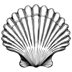 Detailed Sea Shell