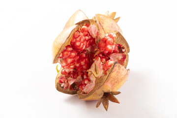 ［山形県産］ザクロ