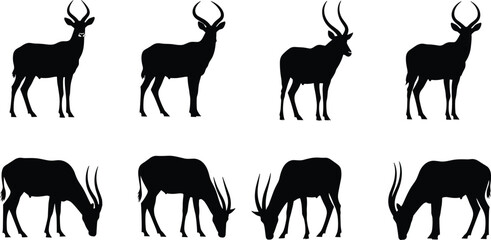 Antelope animal silhouettes standing and grazing, wildlife vector illustration, African savanna animals, horned mammal poses, cad drawing flat vector illustration