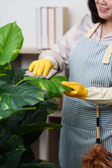 Plant Care. A woman cleaning leaves of a houseplant, promoting indoor gardening.