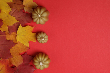 Fototapeta premium Pumpkins, acorns and fallen leaves on a red background