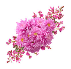 Obraz premium Vibrant pink flower arrangement nature isolated on transparent background