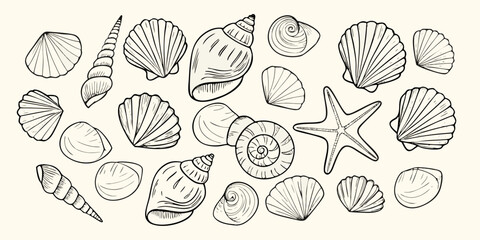 Collection of hand drawn seashells and starfish illustrations on a light background