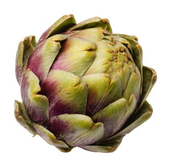 Obraz premium Harvesting artichokes nutrient-packed vegetables garden isolated on transparent background