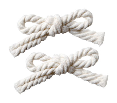 Creating decorative bow knots collection minimalist isolated on transparent background