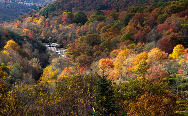 Vibrant Fall colors in mountains near Asheville, North Carolina on the blueridge mountain parkway