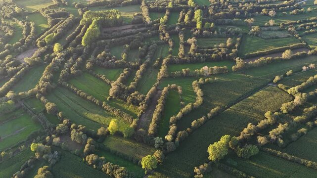 Bocage habitat agriculture in Aveiro