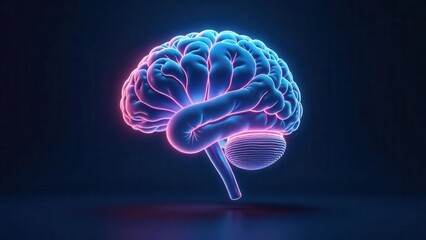An abstract representation of a luminous human thinking organ glowing with neon pink and blue illumination against a dark backdrop