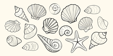 Collection of hand drawn line art illustrations of various seashells and a starfish on a cream background