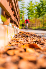 Autumn Cycling Path at Ara Canal Park in Gyeyang-gu, Incheon, South Korea