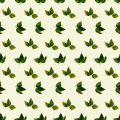 Hand drawn watercolor strawberry leaves on lactic background. Berry watercolor illustration. Watercolor berry pattern. Perfect for wallpaper, gift wrap, pattern fill, web page background