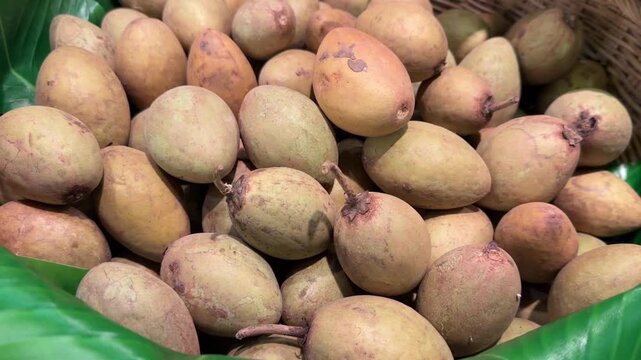 Close-up video of ripe sapodilla fruits in basket with banana leaves, tropical and fresh.
