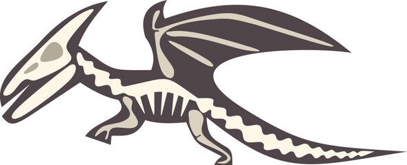 Skeleton of a pterodactyl, a pterosaur reptile of the extinct order pterosauria, flying with its wide wings