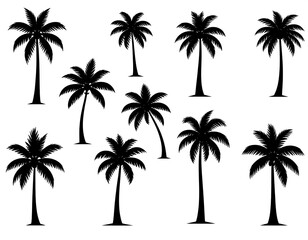 palm tree silhouettes