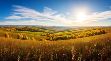 Golden Fields Under a Bright Sky - A Serene Landscape.