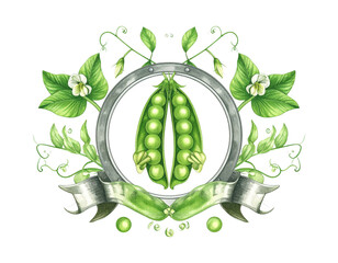 Watercolor Illustration of Two Pea Pods in a Decorative Frame.