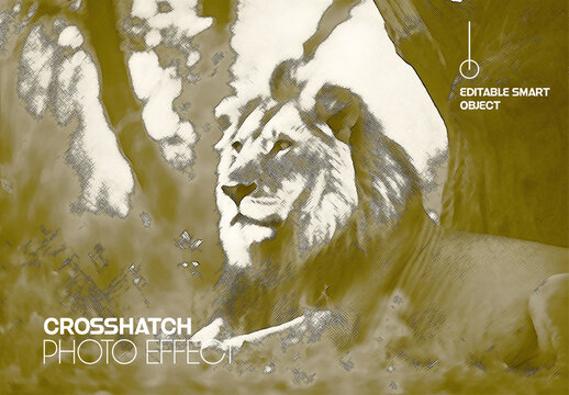 Crosshatch Photo Effect Design