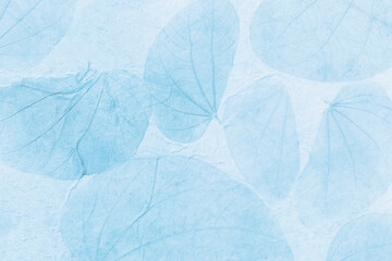 Closeup blue leaves pattern on paper background, closeup natural leaves texture background