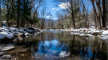 Serene Forest Stream Reflects Winter's Gentle Embrace