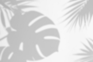 Monstera Leaves Shadow Overlays