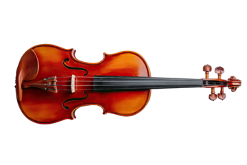 Violin, rich orange-red varnish,  isolated on black