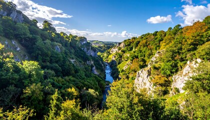 A dramatic gorge scene framed by towering cliffs and lush green trees, a winding river flows under a blue sky