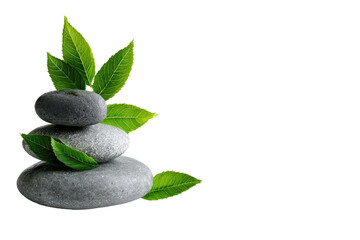 Gray stones stacked, green leaves (2)