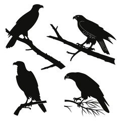 Vector art of eagles