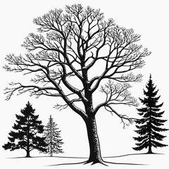 Vector art of trees