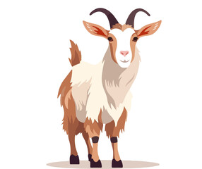 goat isolated on white