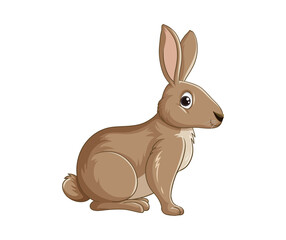 rabbit animal cartoon illustration