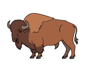 vector illustration of a bull