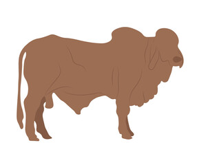 vector illustration of a cow