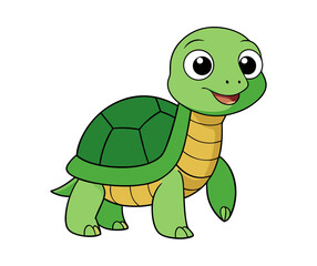 turtle cartoon animal illustration