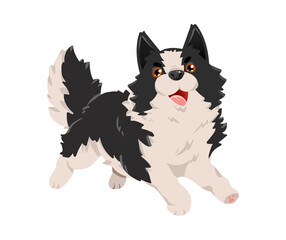 Obraz premium border collie dog