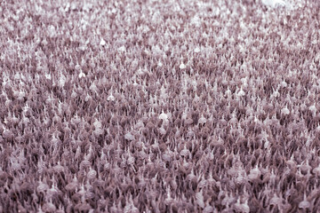 sharp points abstract texture background