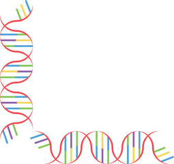 DNA　カラフル　　デザイン　イラスト