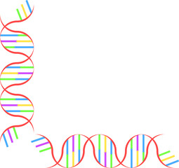 DNA　カラフル　　デザイン　イラスト