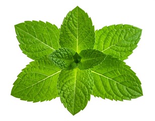 A close-up, top-down view of fresh, green mint leaves arranged in a pattern