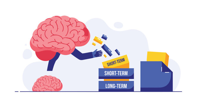 Understanding Short Term and Long Term Memory Storage and Retrieval