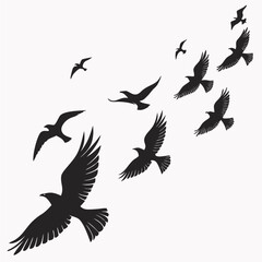 Fototapeta premium “Flight in Formation”