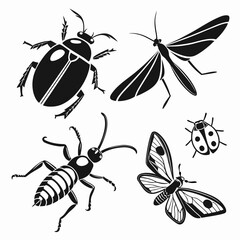 Vector art of insect set