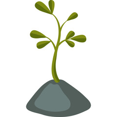 Green Plant Sprouting From Grey Soil With Transparent Background Ideal For Educational And Nature...