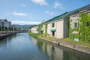 Historic warehouses covered with ivy along canal in city on clear day at Hokkaido, Japan
