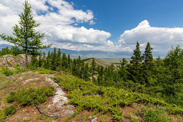 Panoramic view of the mountain range and pine taiga forests