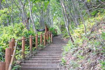 Outdoor wooden stairs pathway surrounded by green trees in forest park at Noboribetsu Jigokudani Valley, Noboribetsu, Hokkaido, Japan